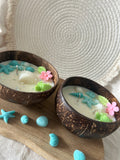 Coconut island