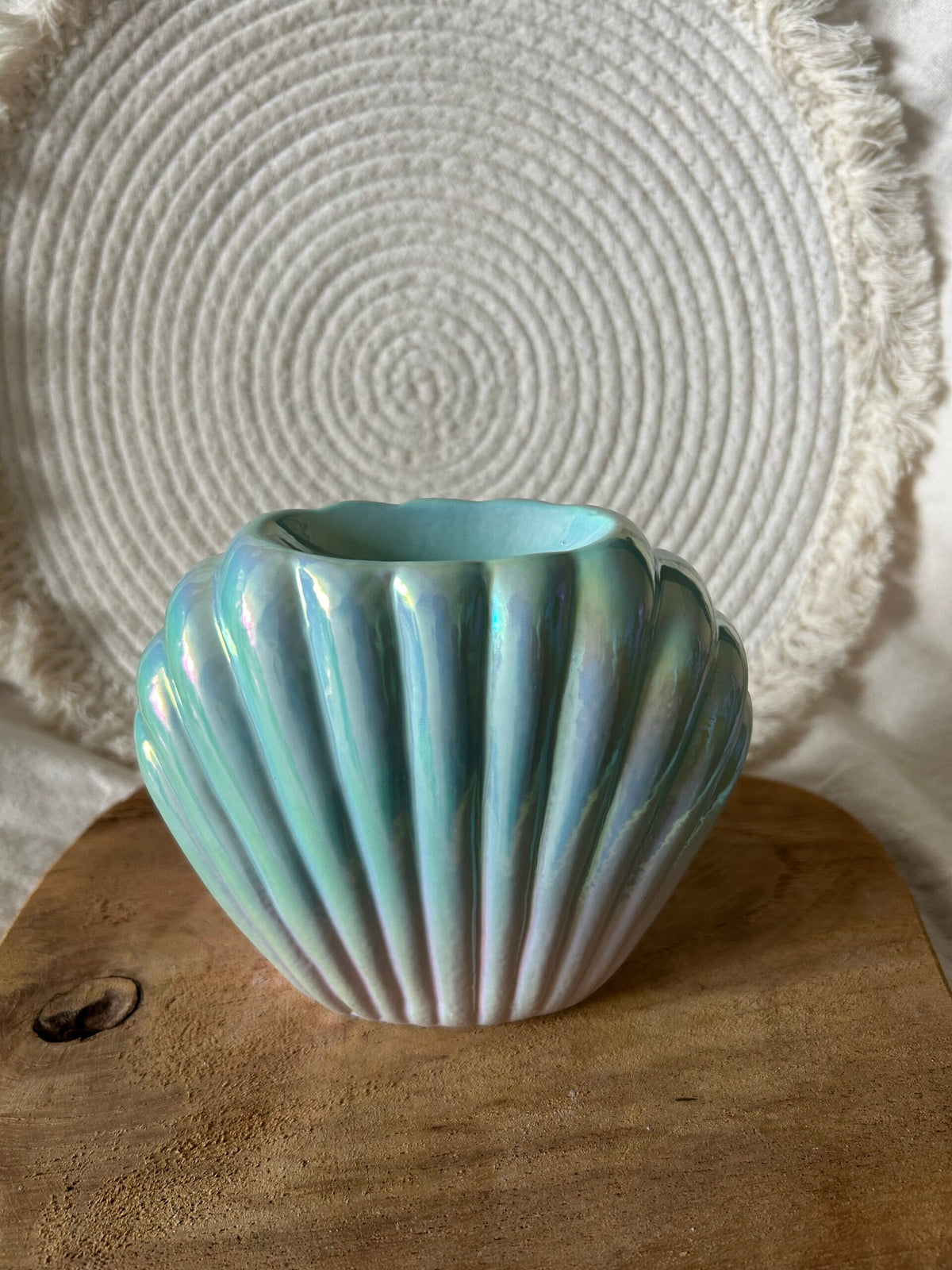 Waxbrander shell